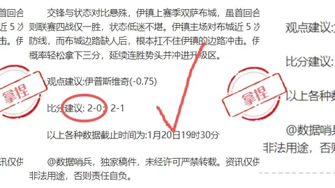 哈尔滨赋能，亚洲冰雪朋友圈喜迎新伙伴